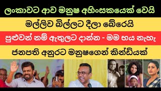 ලංකාවට ආව මනුෂ අහිංසකයෙක් වෙයි.  මල්ලිව බිල්ලට දීලා බේරෙයි. #nppsrilanka #anurakumaradissanayake