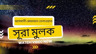 স্বর্গীয় সুরে কোরআন তেলাওয়াত সূরা মুলক | Recited By Omar Hisham Al Arabi surah al mulk