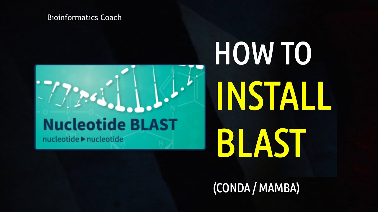 How To Install Blast In Linux Using Conda Mamba Ncbi Blast Tutorial