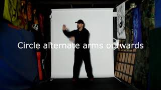 Eight Rolling Arm Drills of Wang XiangZhai