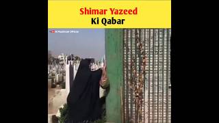 Shimar Yazeed Ki Qabar 🤬 | #shorts #youtubeshorts #factsvideo