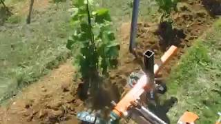 Agpower Berti Ecorow Undervine Weeder Demonstration