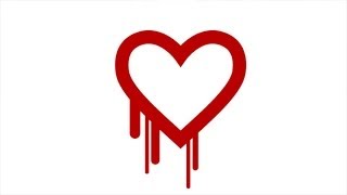 Heartbleed Bug: What the NSA Knew and When