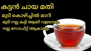 മുടി കൊഴിച്ചിൽ മാറി മുടി വളരാൻ ഇനി കട്ടൻ ചായ മതി/Black tea for double hair growth