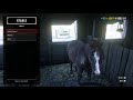 OMG!... BEST HORSE RDR2 Online (Hiding In Plain Sight) - RDO Relaxing Gameplay