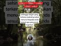 Doa mujarab mengembalikan pasangan #viralreels #viral #amalan #surahyusuf #asmara #rumahtangga