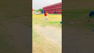 Left Arm Arshdeep Action #cricket#shorts