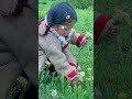 Little dolma: cute Tibet Baby Girl Picking up the Flowers #shorts