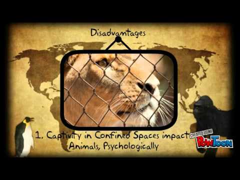 Zoos and their Impact on Biodiversity Zoos and their Impact on Biodiversity