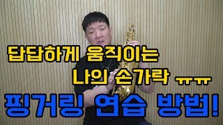 답답하기만한 나의 손가락 ㅠㅠ 효과적인 핑거링 연습방법!