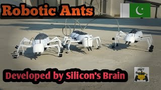 Robotic Ants developed by Silicon's Brain | New Robotic Product