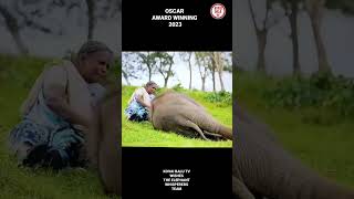 OSCAR AWARD WINNER THE ELEPHANT WHISPERERS 2023 #oscarwinner2023 #kovaibalutv #balakrishnanperumal