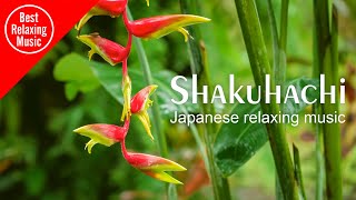 Relaxing Japanese Shakuhachi Flute music instrumental
