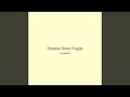 Shadow Silver Fragile