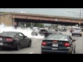 EPIC Burnout Shelby GT500 Super Snake // Diesel Truck Pulled Over // Sick Burnout Mustang Cobra !!!