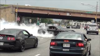 EPIC Burnout Shelby GT500 Super Snake // Diesel Truck Pulled Over // Sick Burnout Mustang Cobra !!!