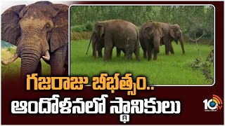 గజరాజు బీభత్సం..ఆందోళనలో స్థానికులు | Elephant Create Terror in Palamaneru, Chittoor District | 10TV