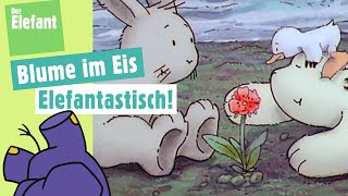 Der kleine Eisbär findet eine Blume  \u0026 Ratefilm Fahrzeuge | Der Elefant | WDR