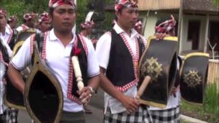 Okokan, Panca Wali Krama ceremony, Taro, Bali