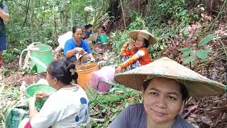 Panen Buah Keranji