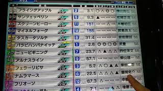 #競馬#メダルゲーム#スタホ2#怪物中位#初戦#G2スプリングS#3大始祖入りは走るのか？