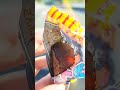 毎日運試し！チョコバットチャレンジ【322目】 運試し shorts 開封 チョコバット