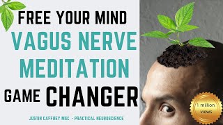 15 Minute Vagus Nerve Meditation