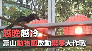 30日將越晚越冷 壽山動物園抗寒大作戰【央廣新聞】