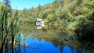 Travel Tips for the Coachella Valley, Joshua Tree and Idyllwild.