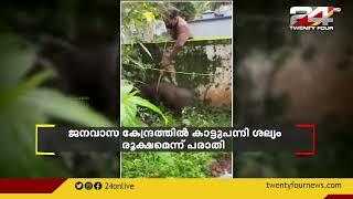 കോഴിക്കോട് രണ്ട് കാട്ടുപന്നികളെ വെടിവച്ചു കൊന്നു