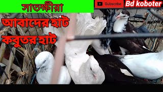 সাতক্ষীরা আবাদের হাট কবুতর হাট কবুতর দাম যানুন abader hat koboter hat