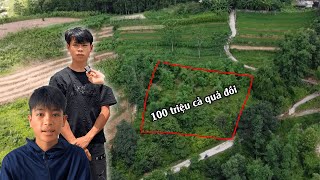 CĂNG.EM TÀI CÙNG EM QUÂN 15 TUỔI CHẠM MẶT CHỦ ĐẤT 100triệu/1ha GIÁ CAO NGẤT NGƯỞNG VÀ CÁI KẾT