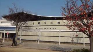 京都水族館