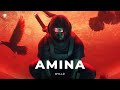 RYLLZ - AMINA