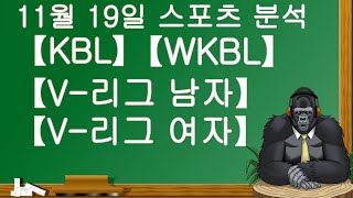 11월 19일 KBL.V-리그. 분석