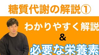 【糖質代謝①】必要な栄養素をわかりやすく解説【パーソナルトレーナー向け】