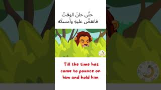 learn arabic with osama