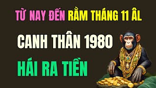 Tử vi tuổi Canh Thân 1980. Từ nay đến Rằm tháng 11 Âm lịch. mở rộng vận may, hái ra tiền tài