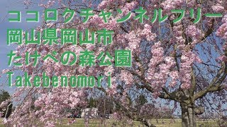 【花の名所】　岡山のお出かけスポット　たけべの森公園