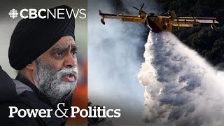 Canadian response to L.A. wildfires is 'what good neighbours do': minister | Power \u0026 Politics