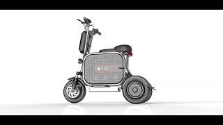 500W 1000W Pet three wheeler electric motorcycles scooters