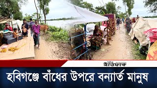 হবিগঞ্জে খোয়াই নদের পানি বিপৎসীমার ওপরে, বাঁধের উপরে বন্যার্ত মানুষ | Habiganj Flood | Daily Ittefaq