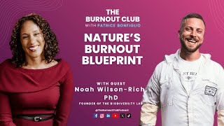 What Bees Can Teach Us About Burnout with Dr. Noah Wilson-Rich, PhD