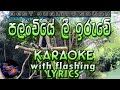 Palanchiye Lee Iruwe Karaoke with Lyrics (Without Voice)