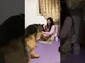 dog is crazy for this smartpet funny funnyanimal funnydog