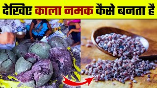 काला नमक कैसे बनता है | Kala Namak Kaise Banta hai | Black Salt Kaise Banta hai | Black Salt Making