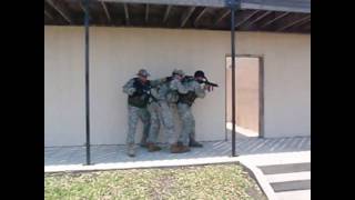 Ares Tactical Training Group (Airsoft)