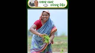 ନବୀନଙ୍କୁ ଚାଷୀ ଦେବେ କୃତଜ୍ଞତାର ଭୋଟ୍। ଷଷ୍ଠ ଥର ନବୀନ ହେବେ ମୁଖ୍ୟମନ୍ତ୍ରୀ, ଏକଥା ଚାହୁଁଛନ୍ତି ଓଡ଼ିଶାର ଚାଷୀ।