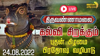 LIVE - திருவண்ணாமலை பிரதோஷம் - நந்தி அபிஷேகம் \u0026 ஆரத்தி | Britain Tamil Bhakthi - 24.08.2022