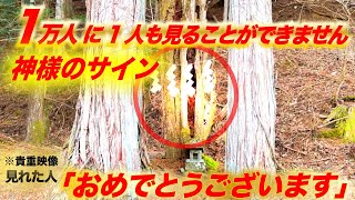 【一粒万倍】※偶然，表示された方「おめでとうございます」神様の歓迎サインを拝見できる人は大きな幸せが近い人「開運映像」